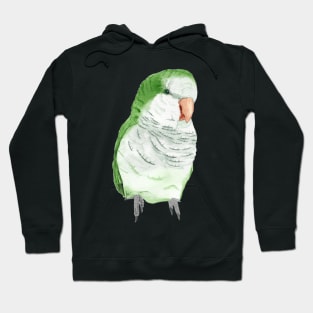 Conure veuve perruche moine souris quaker aquarelle Hoodie